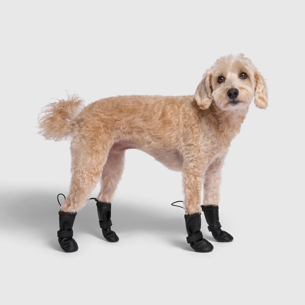 Canada Pooch Waterproof Dog Boots